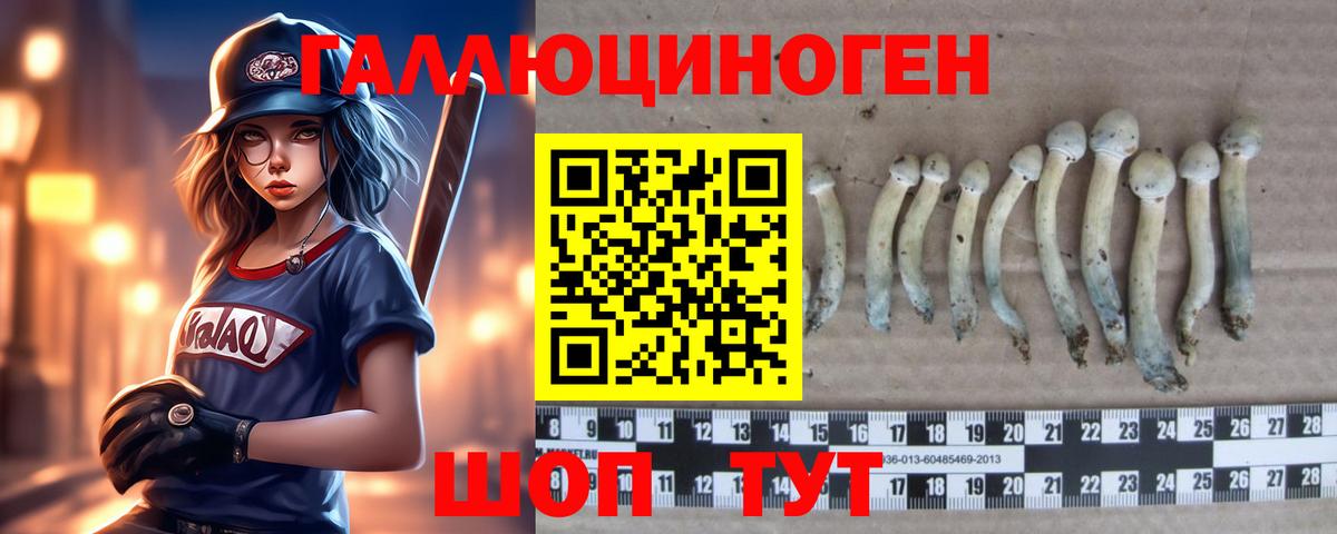 Галлюциногенные грибы Psilocybine cubensis Котельники